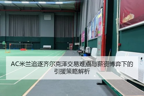AC米兰追逐齐尔克泽交易难点与薪资博弈下的引援策略解析
